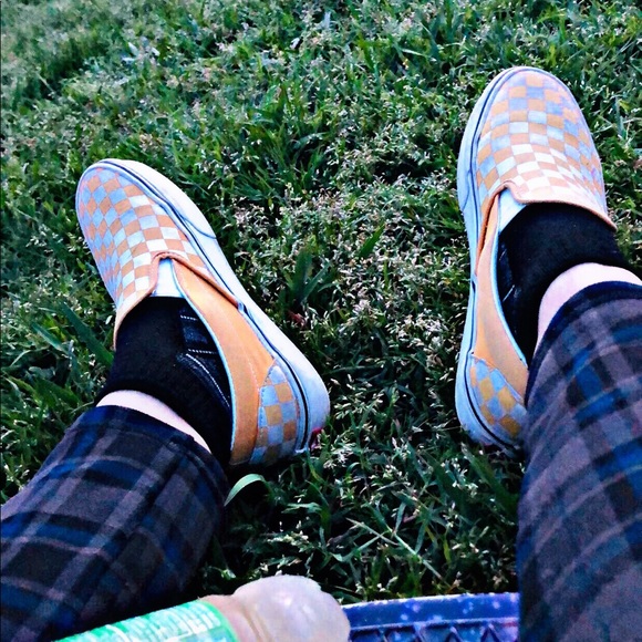 Meet your Posher, Xena - Picture 1 of 1